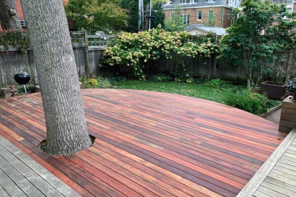 Real wood deck built around a tree in St. Louis City, MO